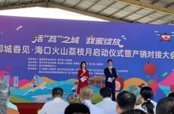 地理标志助“荔”发展海口市知识产权局开展“知惠椰城”地理标志宣传活动-海口琼山区邮政编码