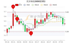 民丰特纸股票,600235最新价5.95元，跌幅-1.00%”