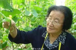 娱乐吃瓜酱根本分不清,从吃瓜群众到酱香四溢的娱乐世界