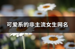 非主流网名 可爱,网名中的青春风采”