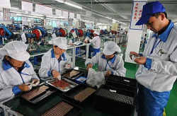 我厂子招一名做饭的,诚邀烹饪高手加盟，共筑美食梦想
